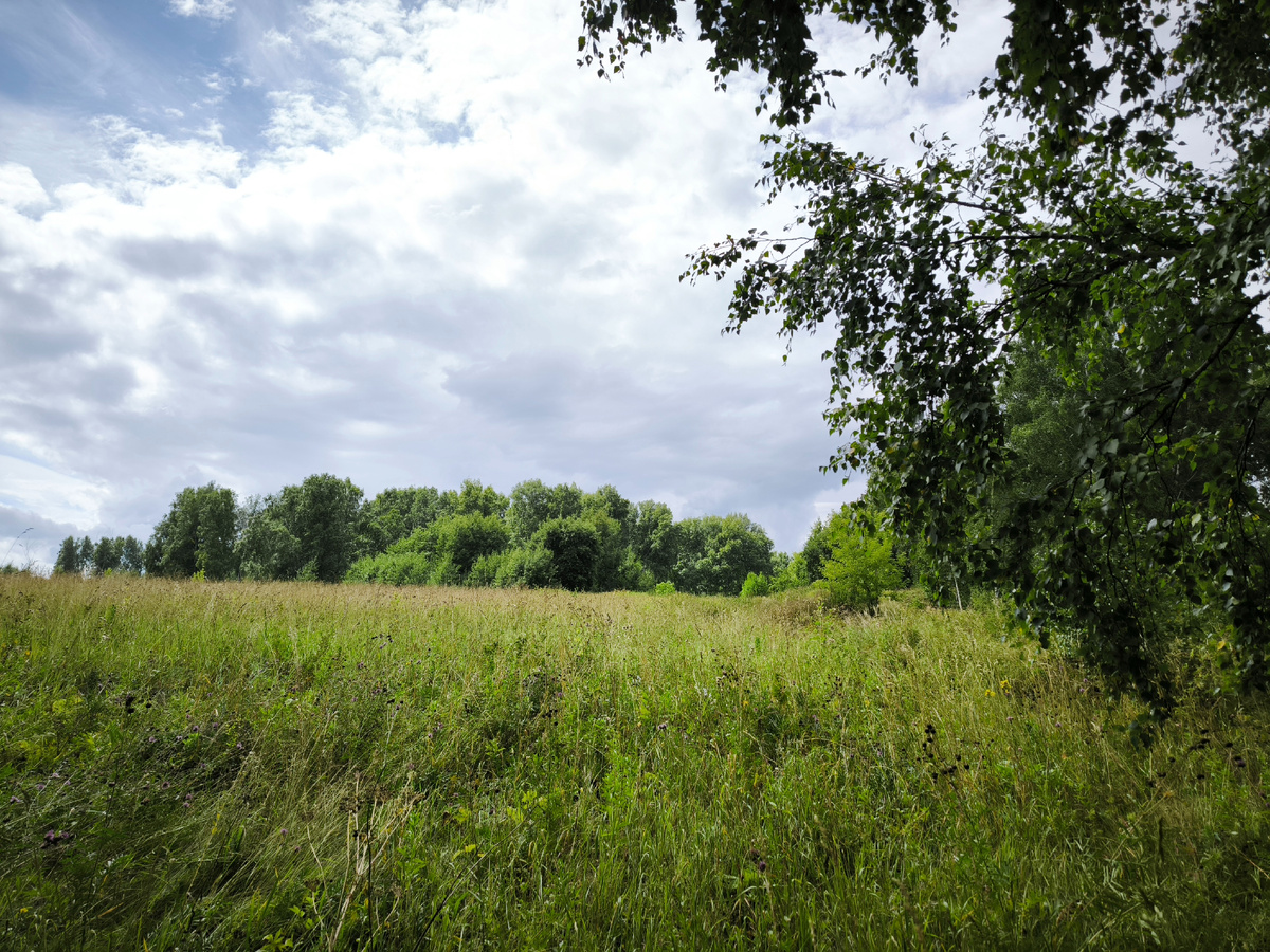 А здесь прямо радостная картинка!