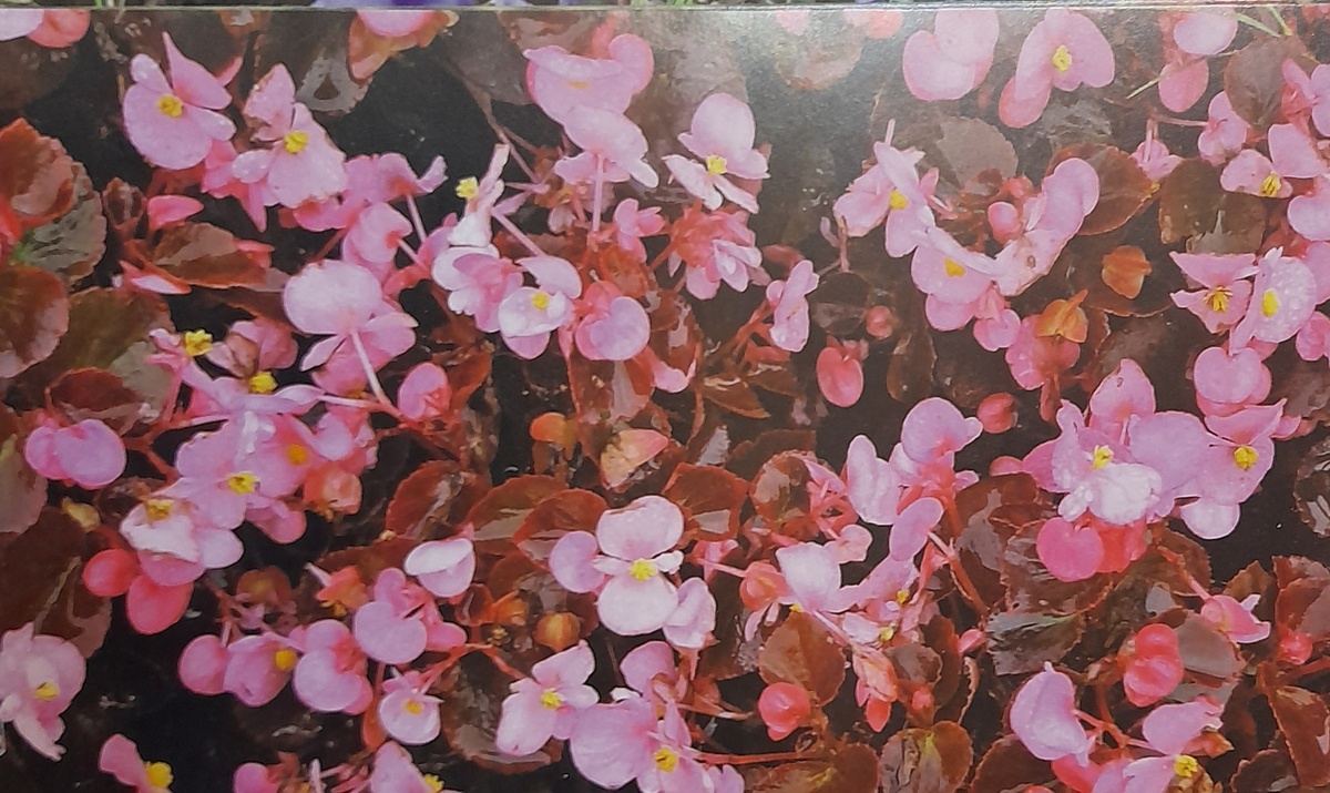 Фото автора канала