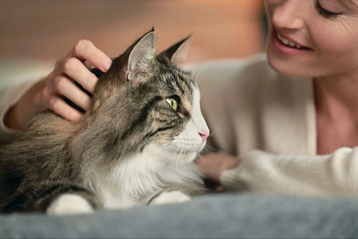 Фото из Интернета.