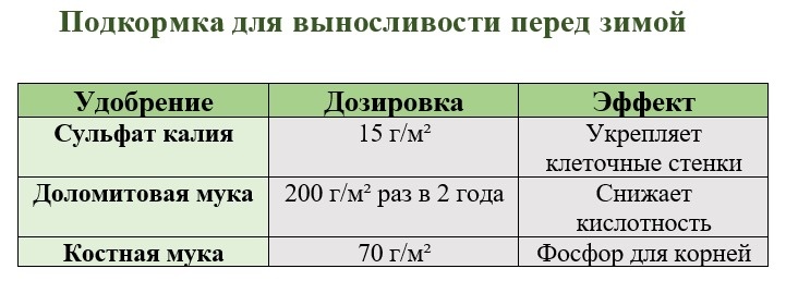 Не вносите азот перед зимой!