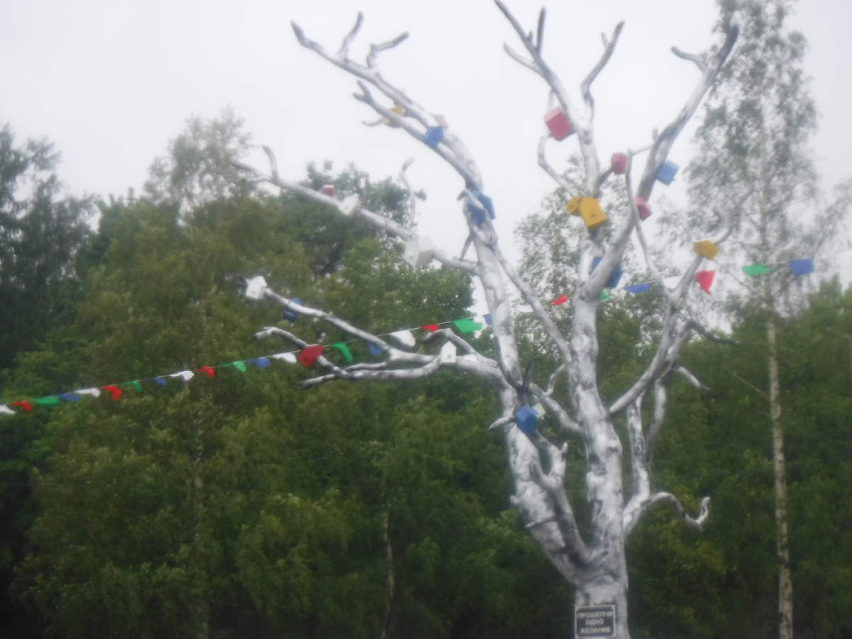 Дерево желаний