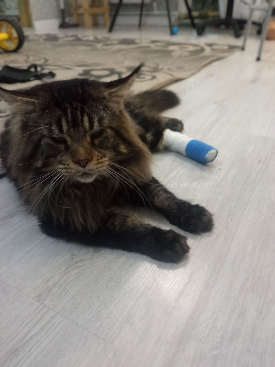 Личное фото