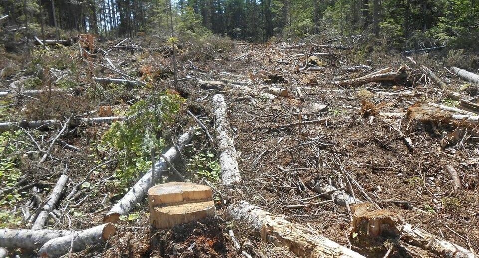    Пресс-служба МВД