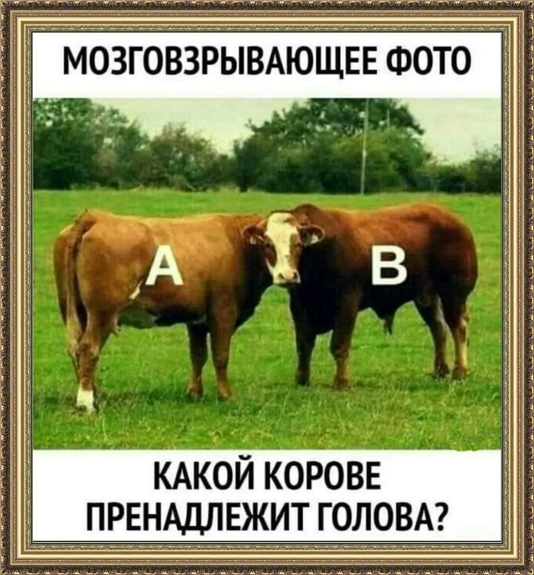 Источник: соцсети