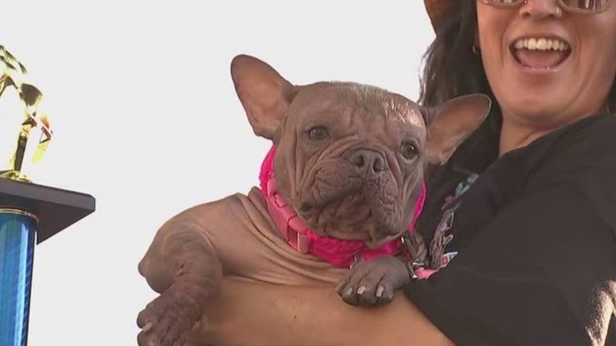    Фото: Скриншот с видео / KSDK News / Youtube