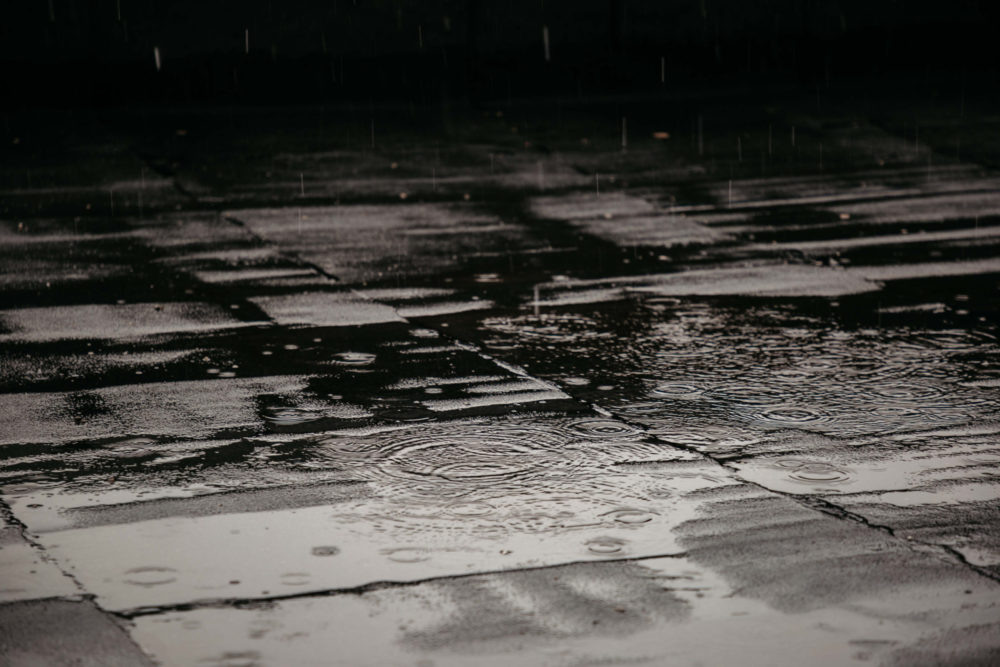 Фото: Кристина Белякова/РИА Верхневолжье