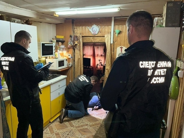     Фото: СУ СК России по Архангельской области и НАО