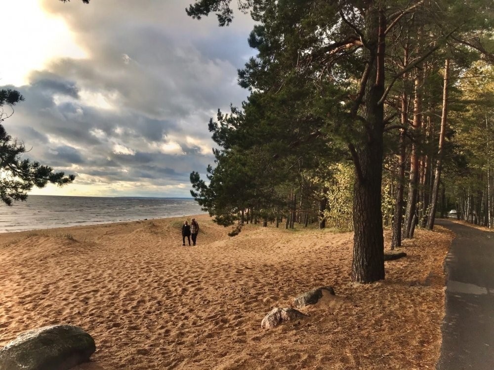 фото взято из открытых источников интернета, доступно для свободного скачивания.