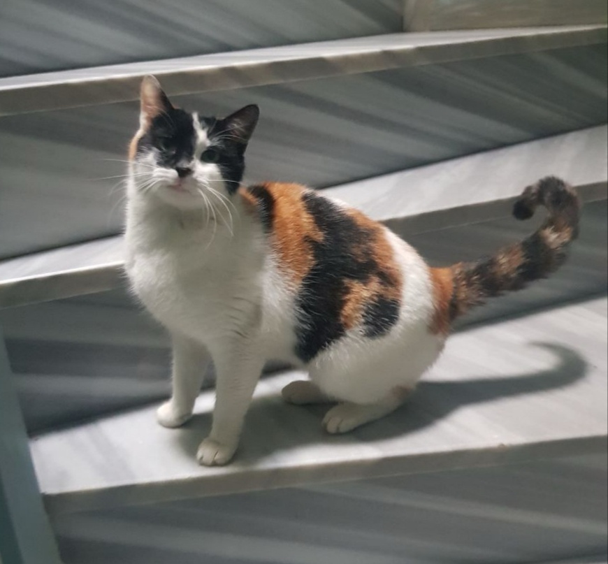 Разве не красавица???