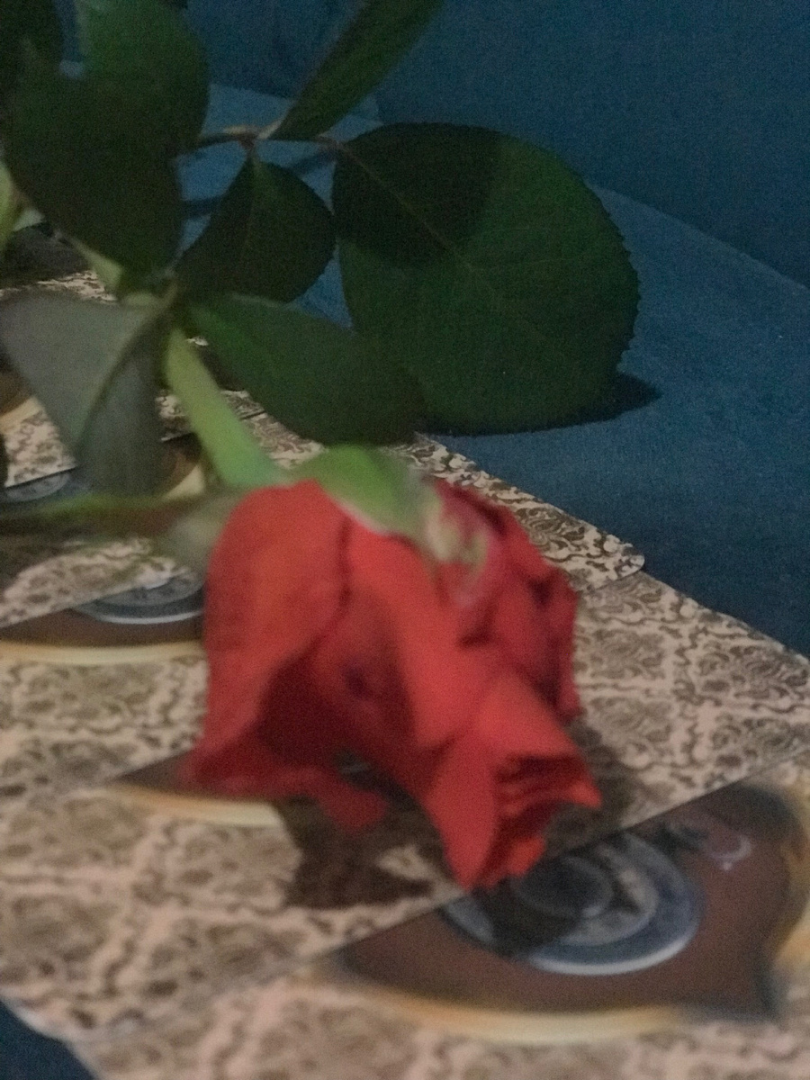 Доброго времени суток, моя  прелестная гостья!!!!Август решил побаловать тебя подарочком!)Давай скорее посмотрим, каким именно?)