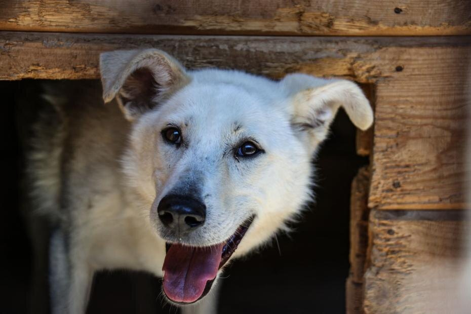    Сергей Лантюхов/NEWS.ru