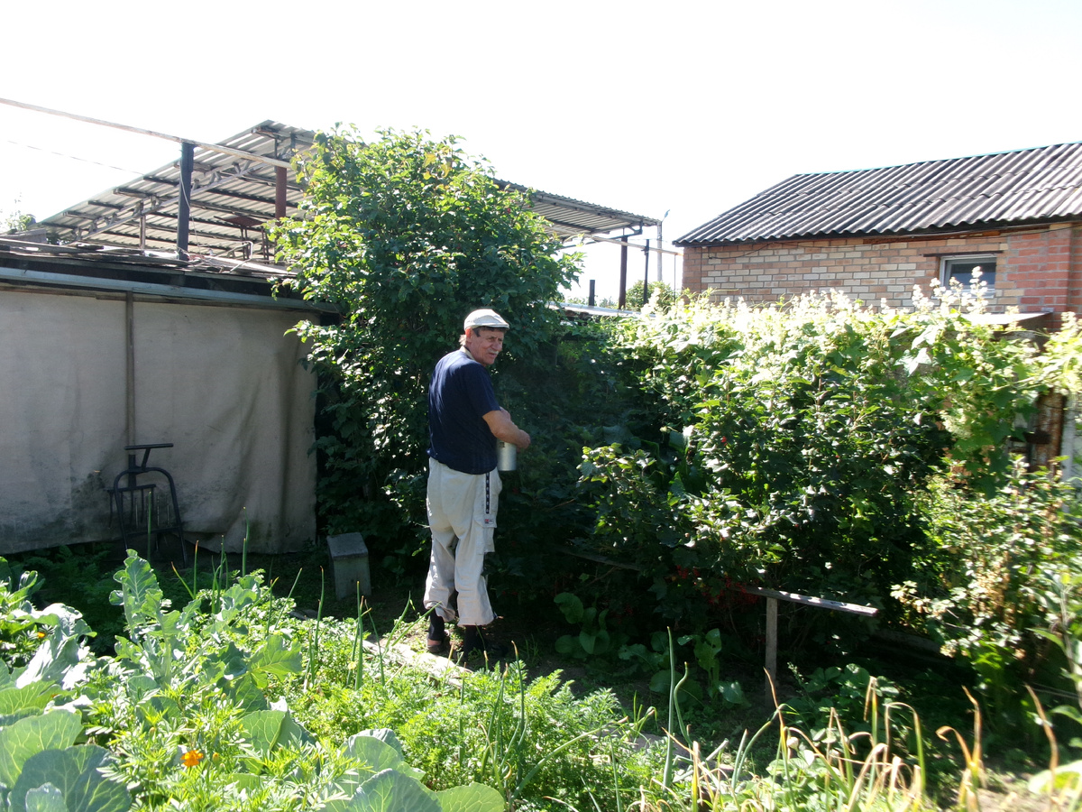 фото автора