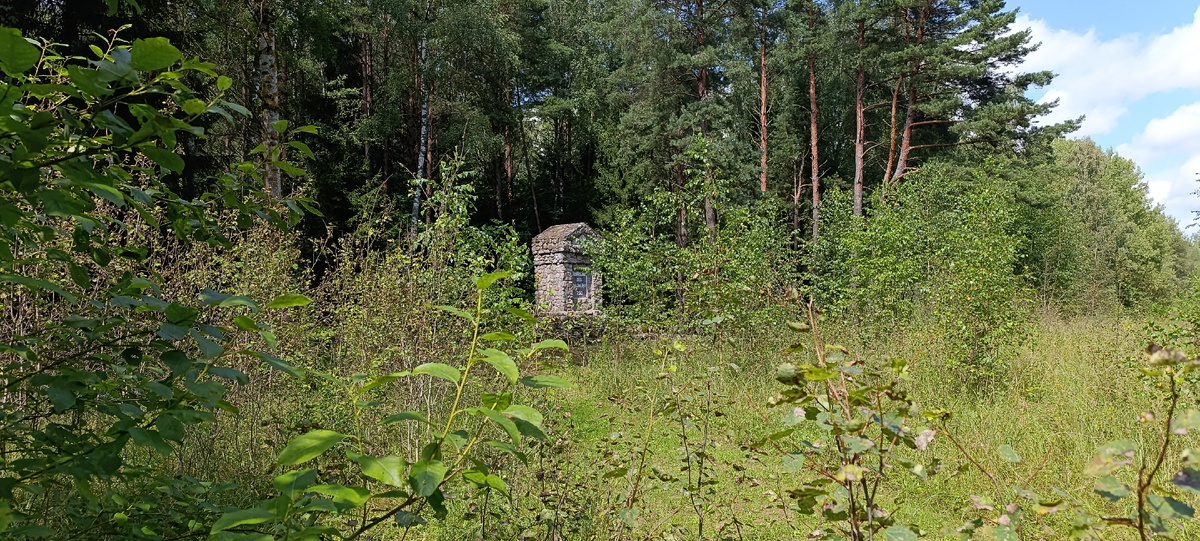 Несколько лет - и памятник полностью скроет подлесок. На следующих фотографиях будет общий вид, потом мы подойдем ближе, осмотрим территорию и прочитаем надписи.