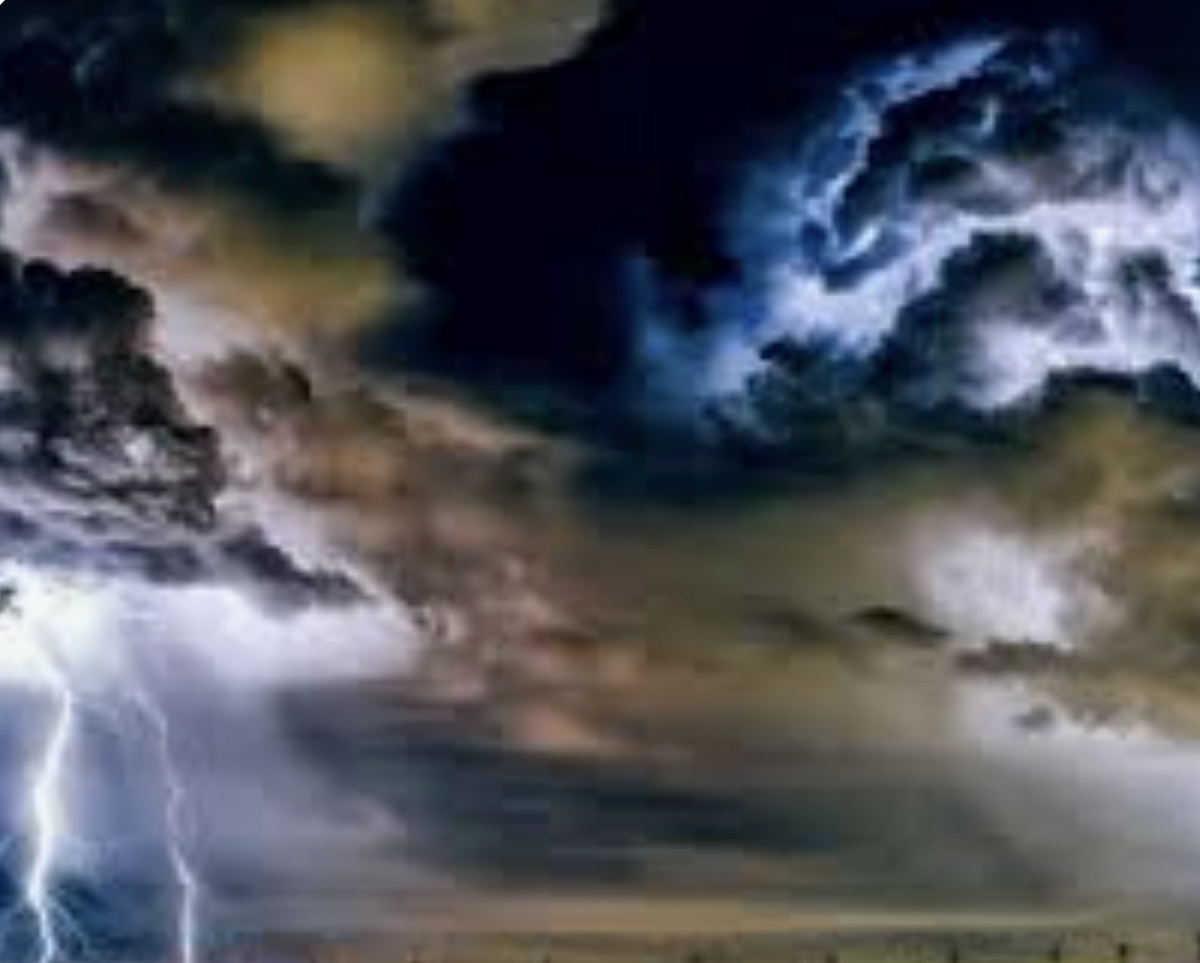 из свободных источников