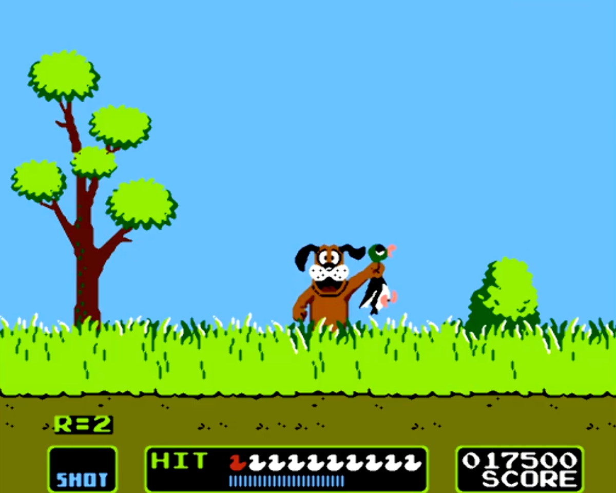 Duck Hunt