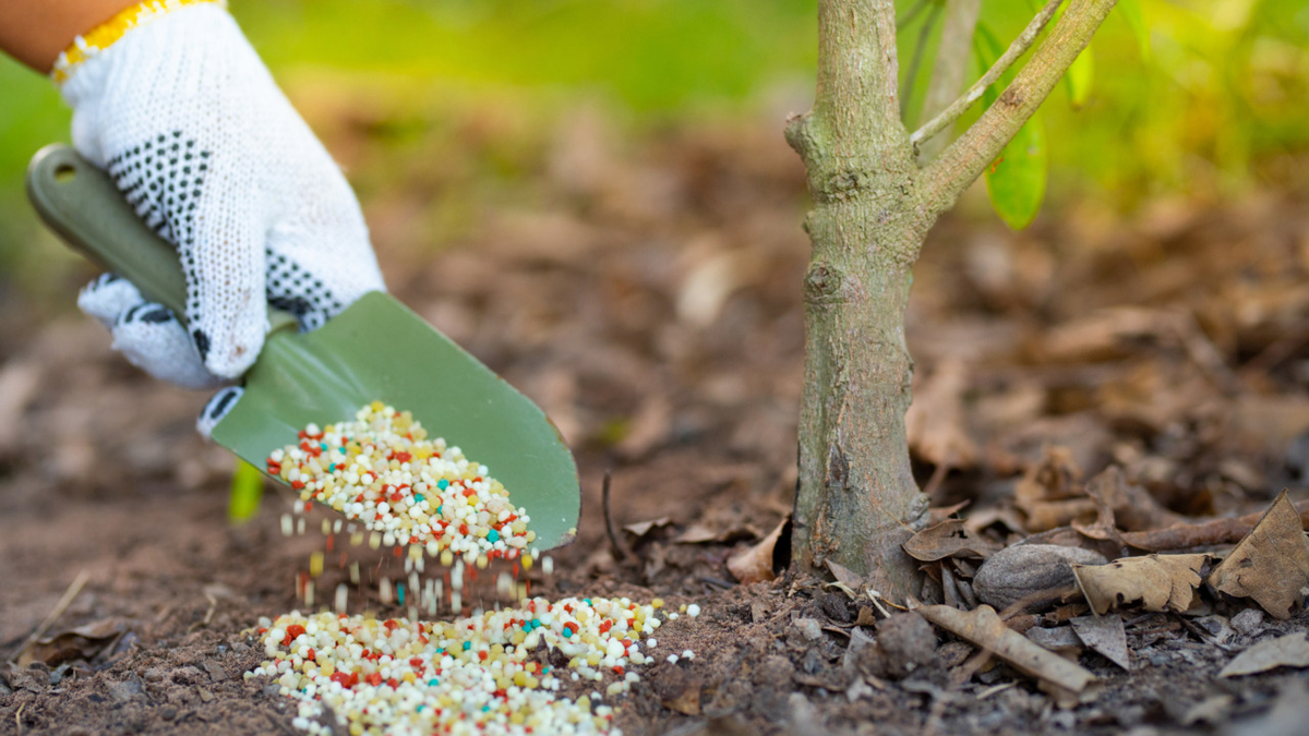 Осенняя подкормка. Источник фото: https://sad-doma.net/polezno/vse-pro-udobreniya/osennie-udobreniya.html