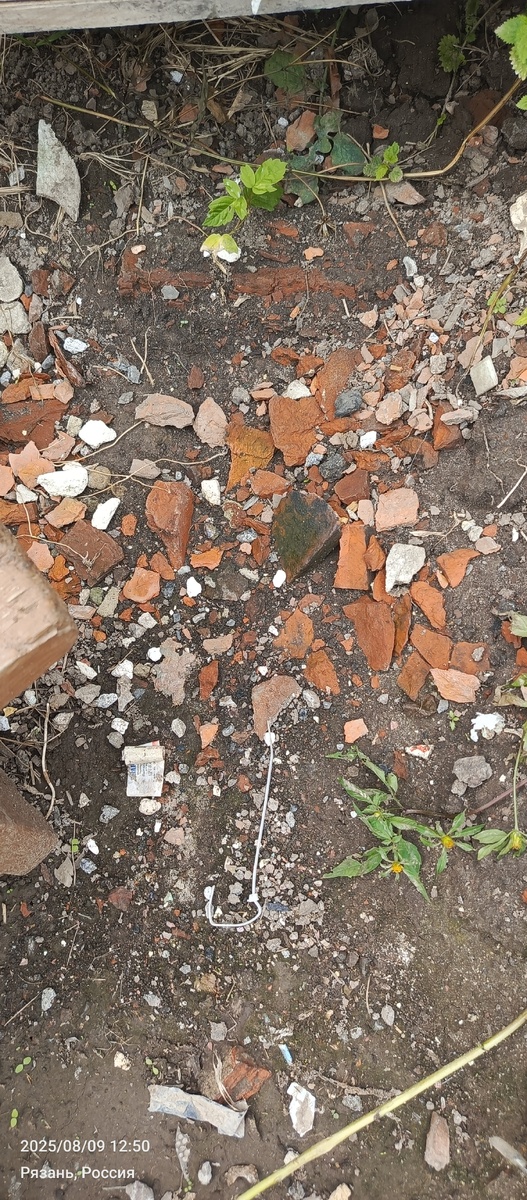 Вот такой бывает замусоренность на участке.