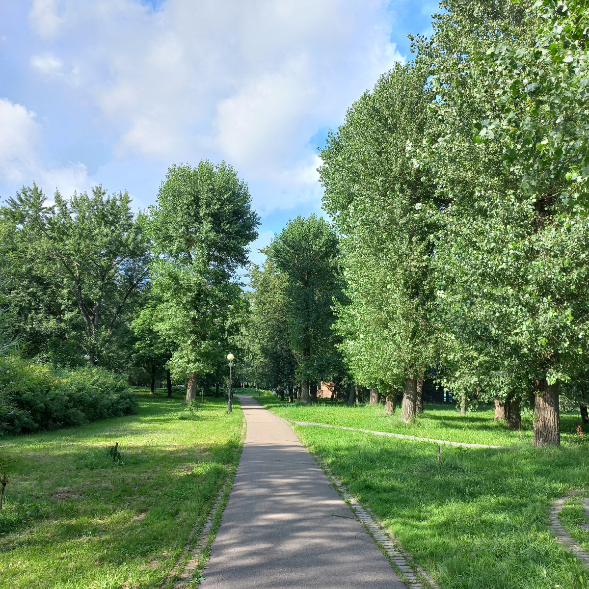 Фото - август 2025 г.