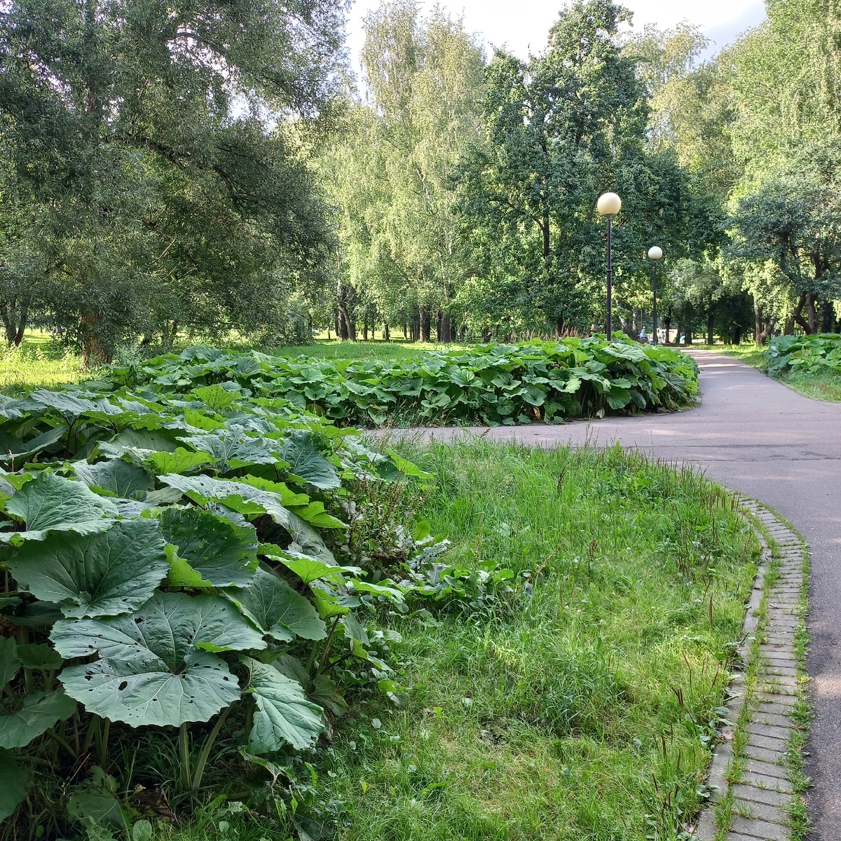 Фото - август 2025 г.