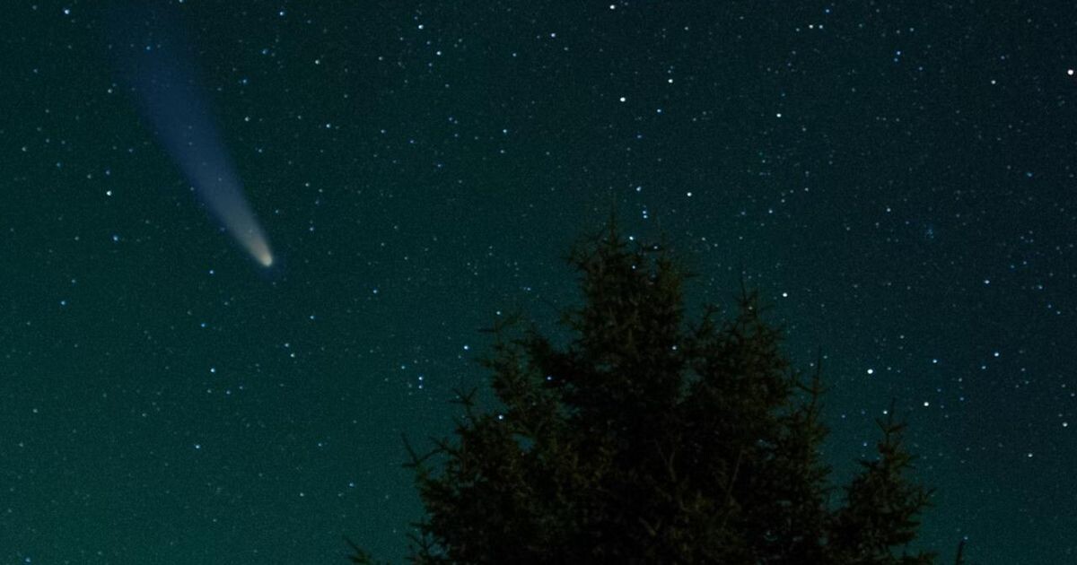 Фото: Яндекс картинки