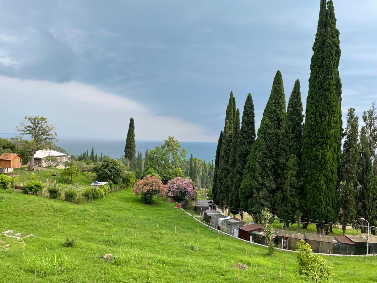 Вид на Черное море со смотровой площадки Новоафонского монастыря 