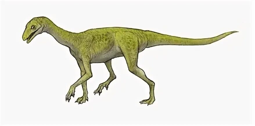 Сумиязавр. Иллюстрация.