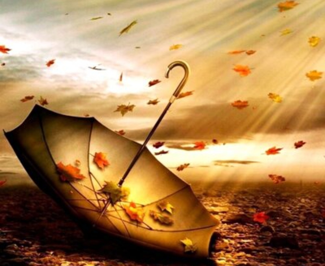 #самосовершенствование