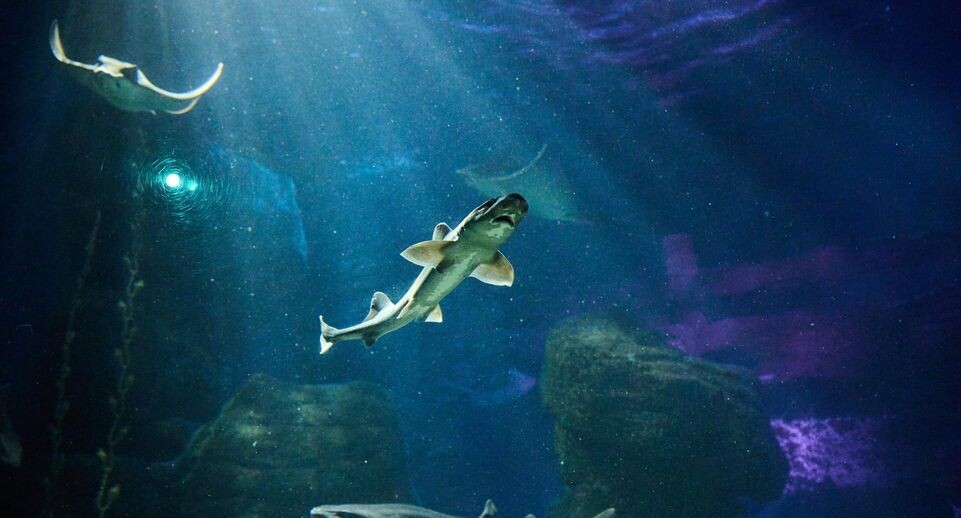    Annette Riedl/dpa / www.globallookpress.com