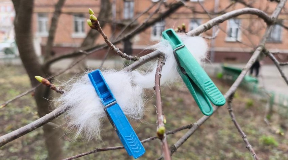 Источник: https://www.google.com/imgres?imgurl=https%3A%2F%2Fixbt.online%2Flive%2Fimages%2Foriginal%2F07%2F69%2F29%2F2025%2F03%2F19%2F8aa304e749.jpg&tbnid=tZYCYkvgZN-ZyM&vet=1&imgrefurl=https%3A%2F%2Fwww.ixbt.com%2Flive%2Fofftopic%2Fzachem-lyudi-vyveshivayut-sherst-zhivotnyh-na-ulicu.html&docid=l45_XGFp89N7aM&w=4096&h=2304&hl=ru-RU&source=sh%2Fx%2Fim%2Fm1%2F4&kgs=b7834aaec9683392&shem=isst