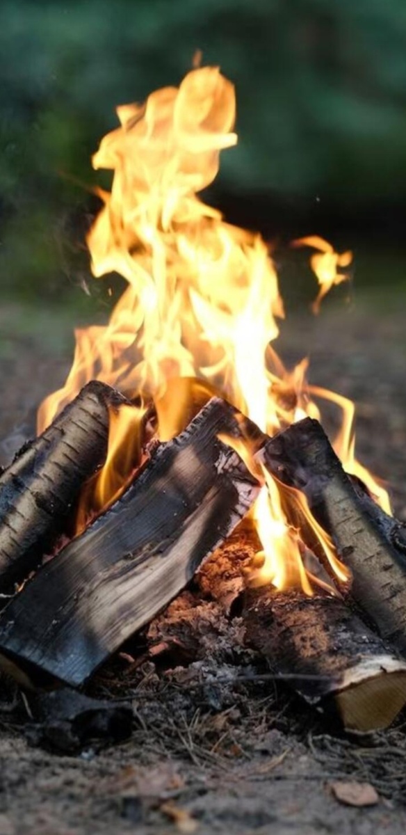 Фото с интернета.