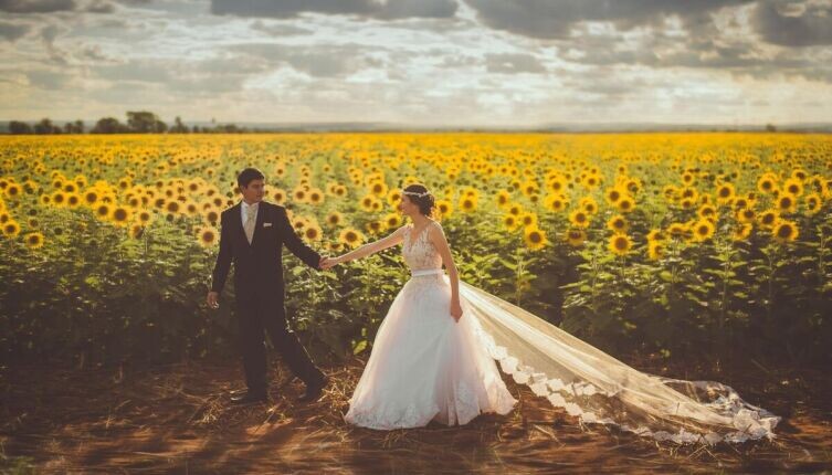     Фото: по лицензии CC0 Pxhere.com