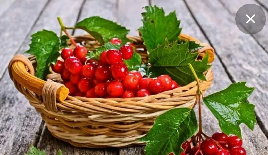 Фото из открытого интернета 