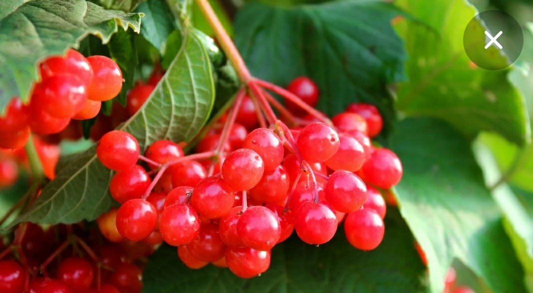 Фото из открытого интернета 