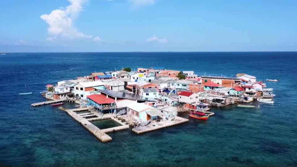 Фото: © Кадр из программы "Невероятно интересные истории", РЕН ТВ