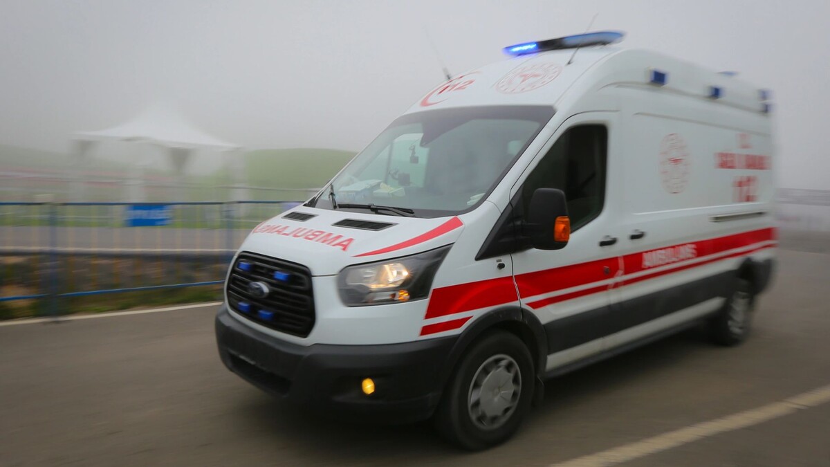    Фото: EvrenKalinbacak/Shutterstock/Fotodom