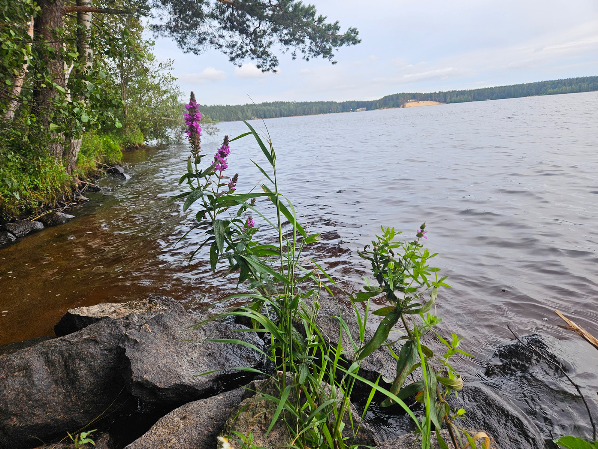 Криво, но красиво.