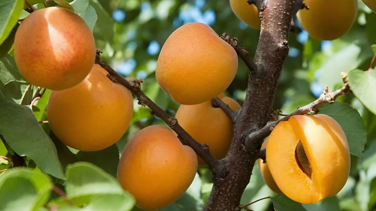     Источник: freepik.com