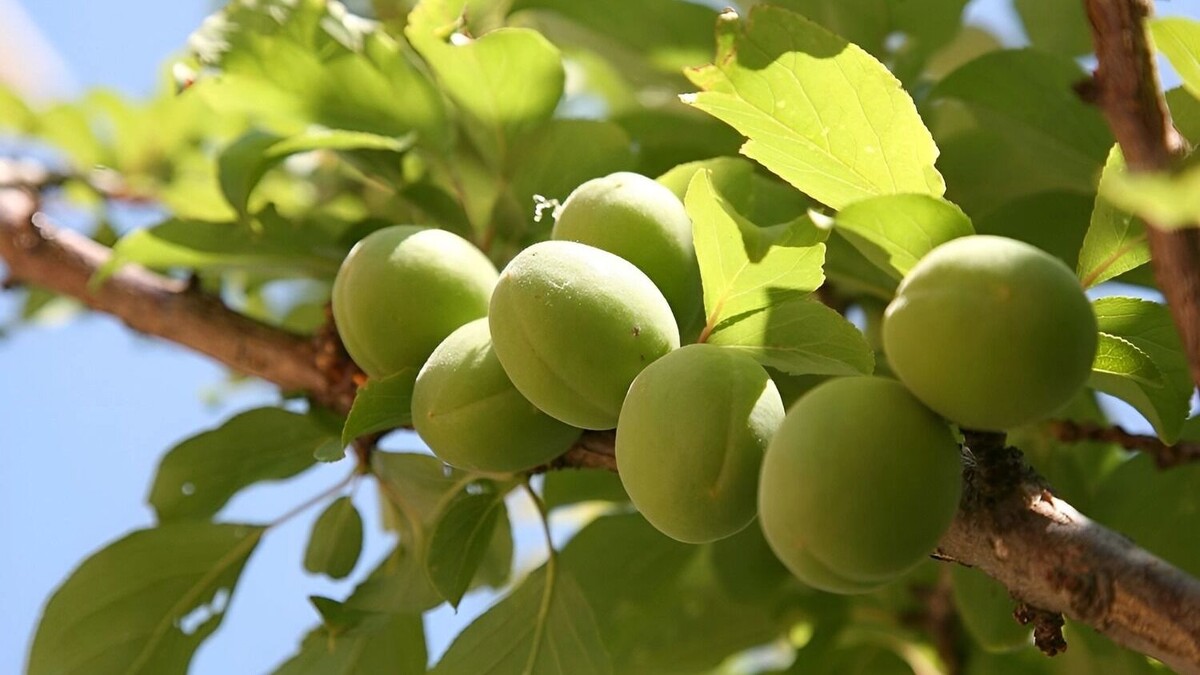     Источник: freepik.com