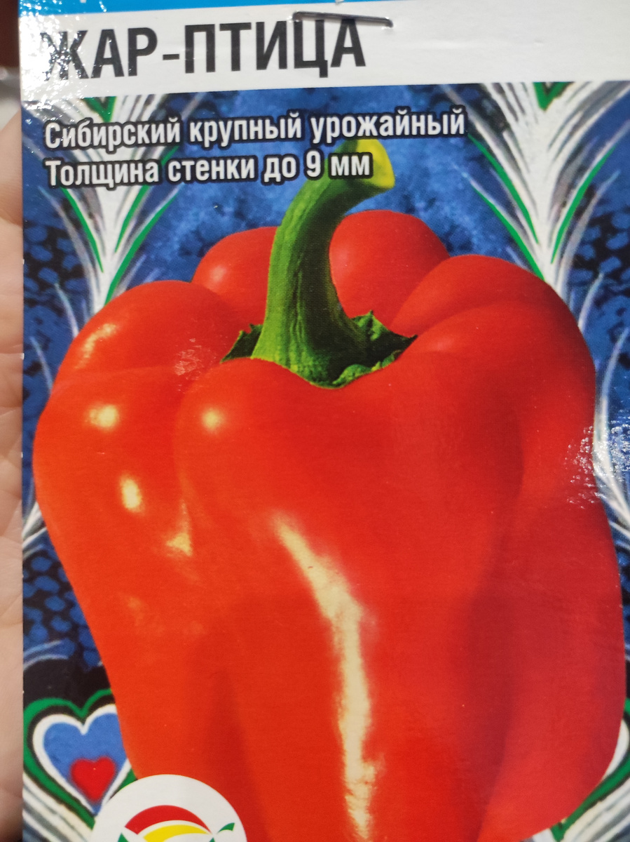 Фото автора, пакет семян сорта Жар-птица, август 2025 года