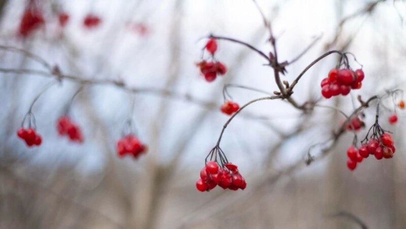      Фото: @freepik / ru.freepik.com