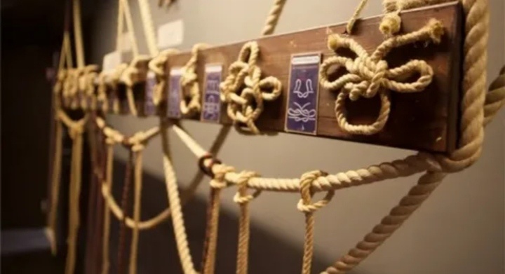 Фото - Яндекс Картинки