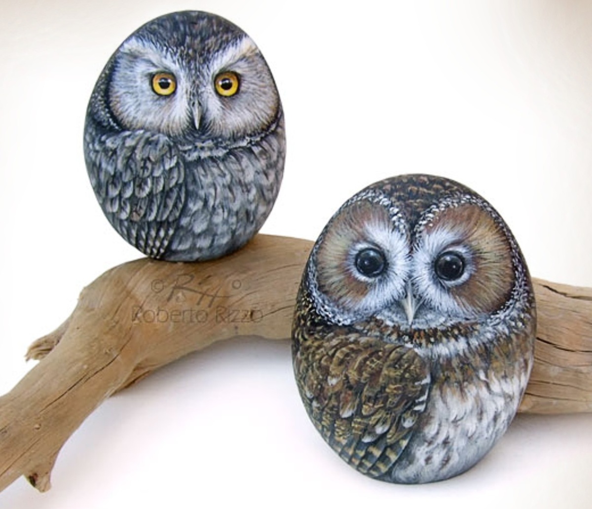 Роберто Риццо, источник mirpozitiva.ru