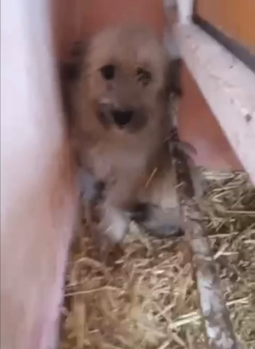 На этом смазанном фото Милс еще в отлове...