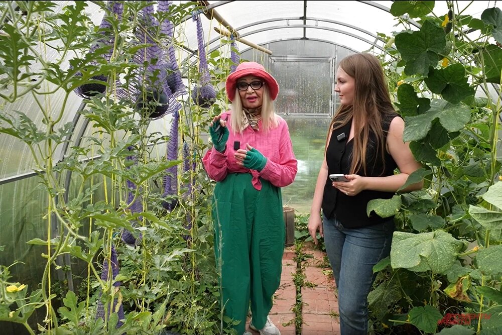    Октябрина Ганичкина и Виолетта Бурлакова в теплице с огурцами и арбузами (арбузы слева, огурцы справа). Фото: АиФ/ Роман Волицкий