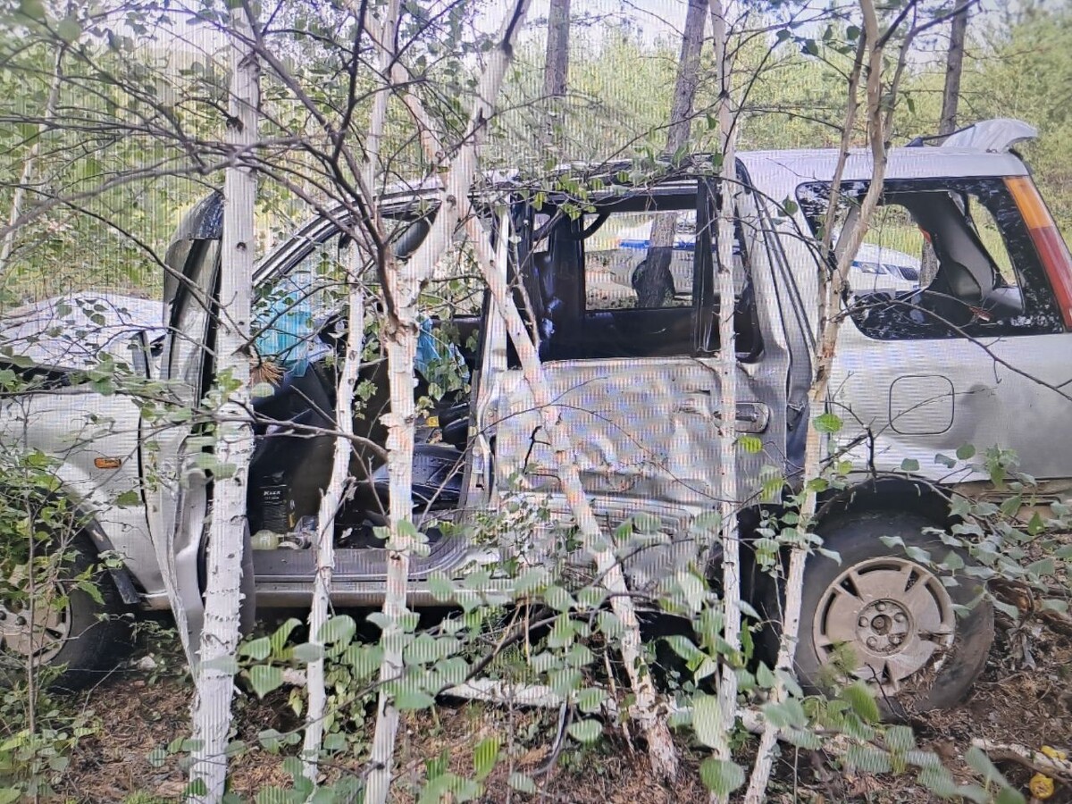    Фото: Госавтоинспекция Забайкалья   📷   Фото: Госавтоинспекция Забайкалья