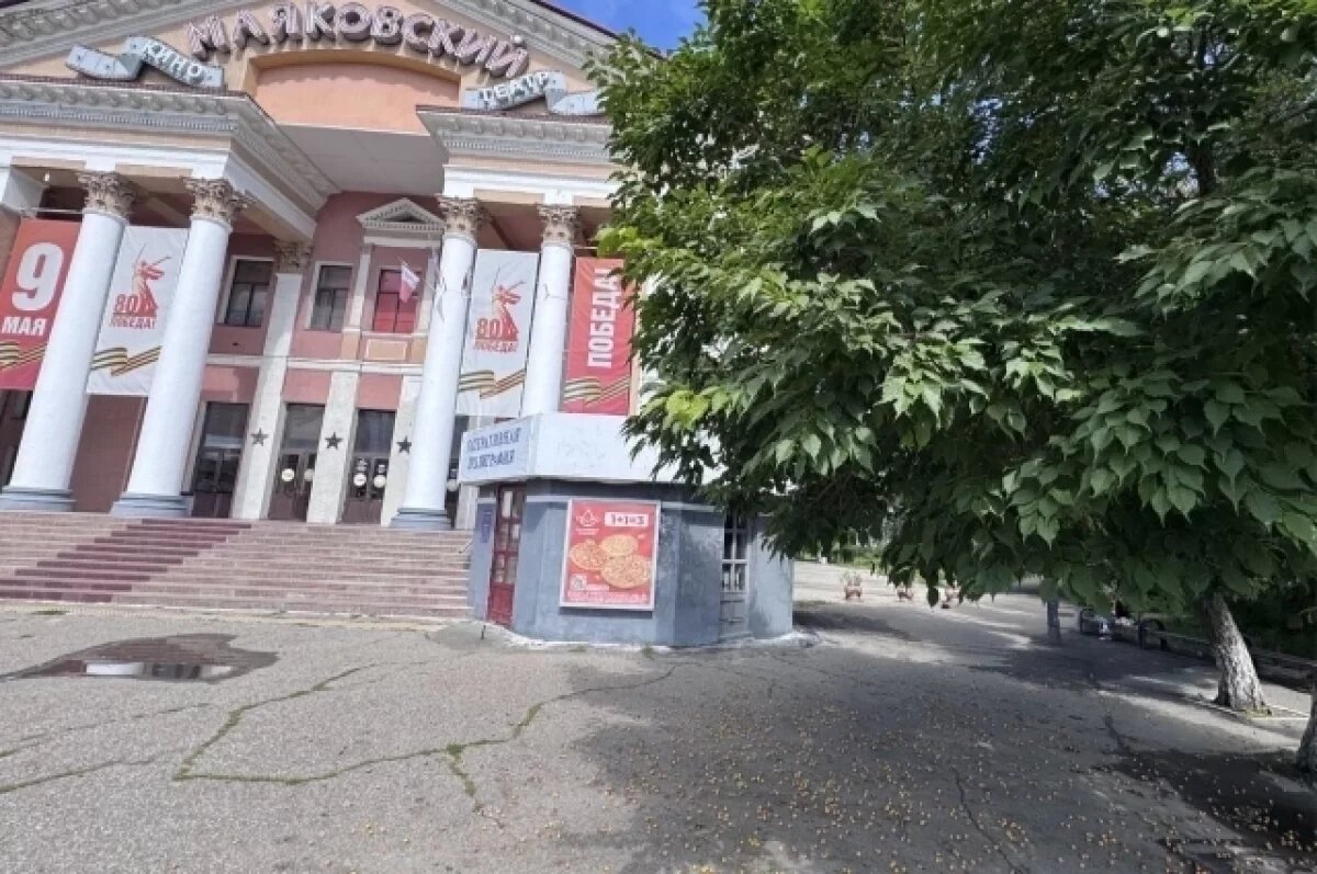    В Омске знаменитое абрикосовое дерево дало урожай