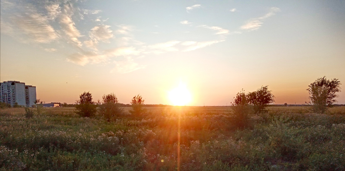 Ф ото автора от 11.08.2025г.