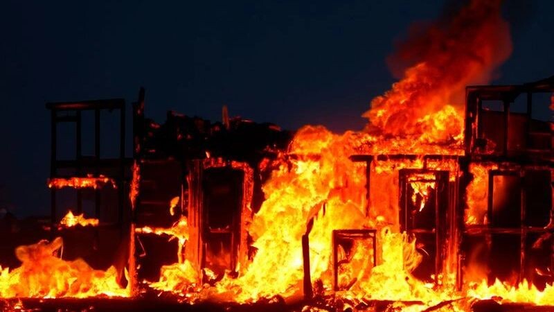    Фото: Fernando Astasio Avila / Shutterstock / Fotodom