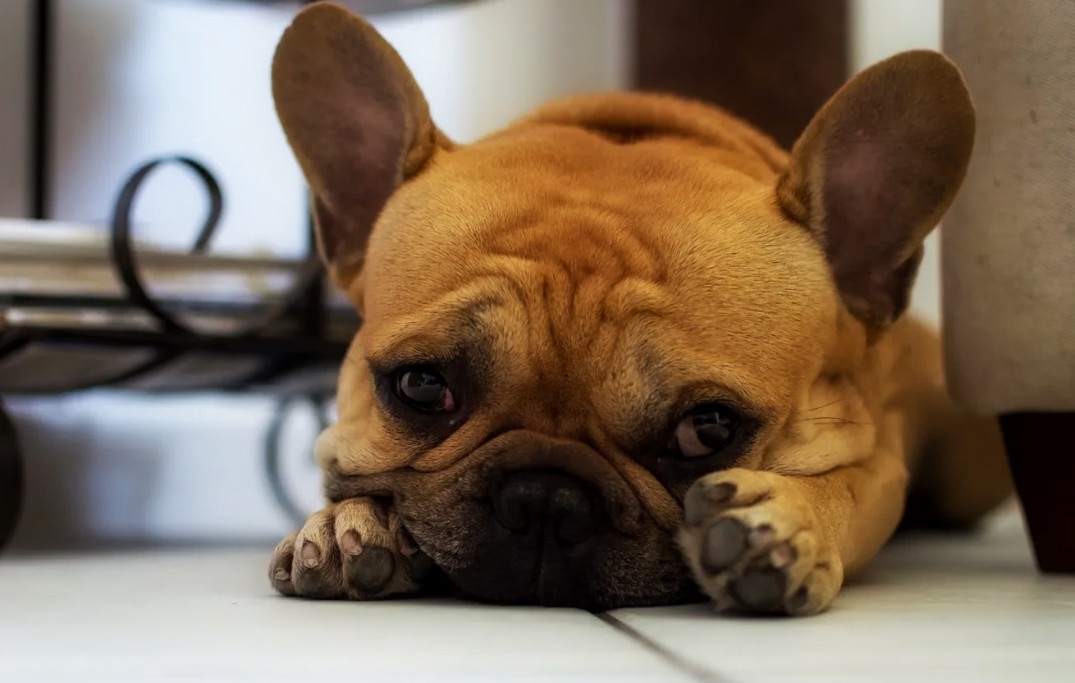 Я говорю это не как теоретик, а как человек, который с этим столкнулся на собственном опыте.
