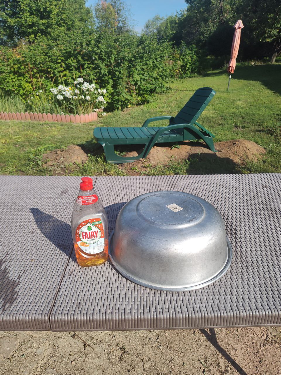 Кучи земли под шезлонгом - от подпорной стенки, работа над которой сейчас отложена в сторону. Кухня - важней.